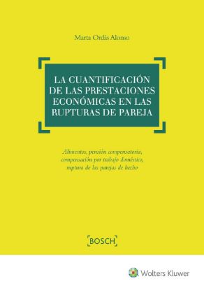 Imagen de La cuantificación de las prestaciones económicas en las rupturas de pareja