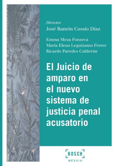 Imagen de El Juicio de amparo en el nuevo sistema de justicia penal acusatorio